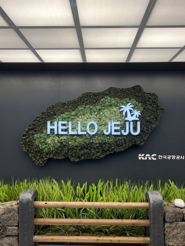 제주도 여행은 이렇게 가세요 🩵