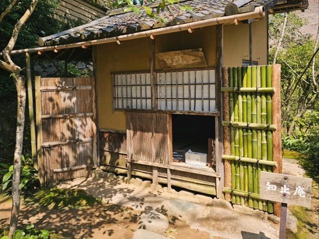 Secret Garden with a Dash of Samurai