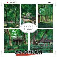​滿庭芳郊野花園 - 綠油油的世界