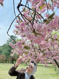 Going to Nami Island by Public Transport 😍