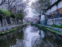 Cherry Blossoms + Old-Timey Canal 