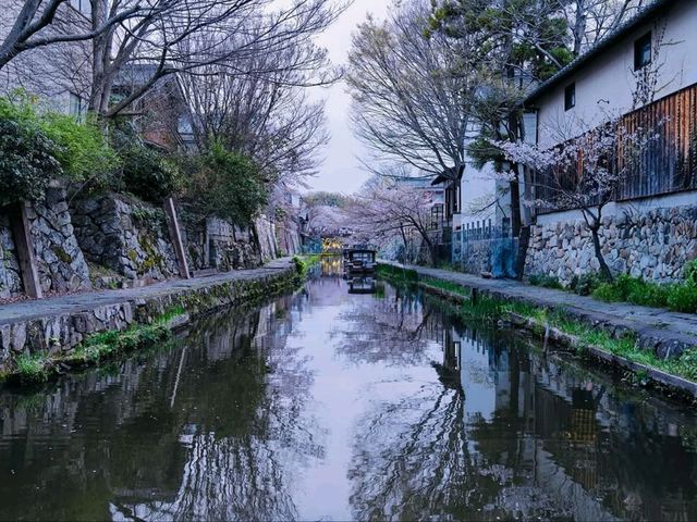 Cherry Blossoms + Old-Timey Canal 