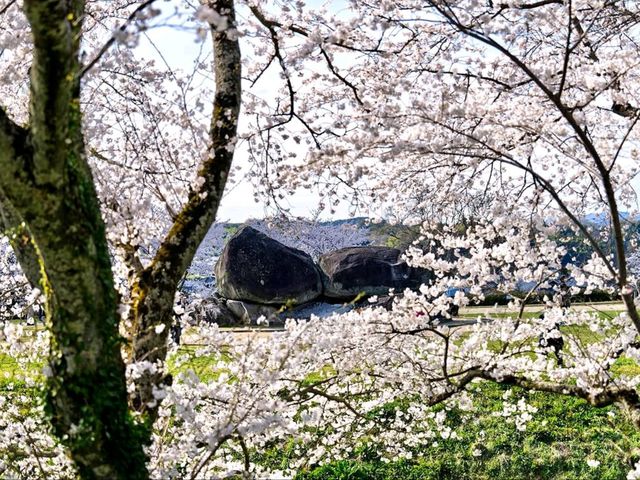 Ancient Vibes and Springtime 