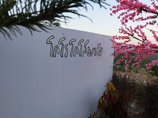 โกโรโส เขาค้อ: สวรรค์บนเนินเขา