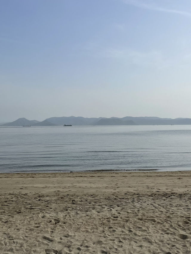 【香川】アートの島直島へ🖌🎨 モネの庭やかぼちゃオブジェに癒されよう🌿‬