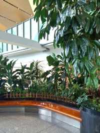 A NATURE MESSAGE FOR EVERY TRAVELLER IN KUNMING CHANGSHUI AIRPORT