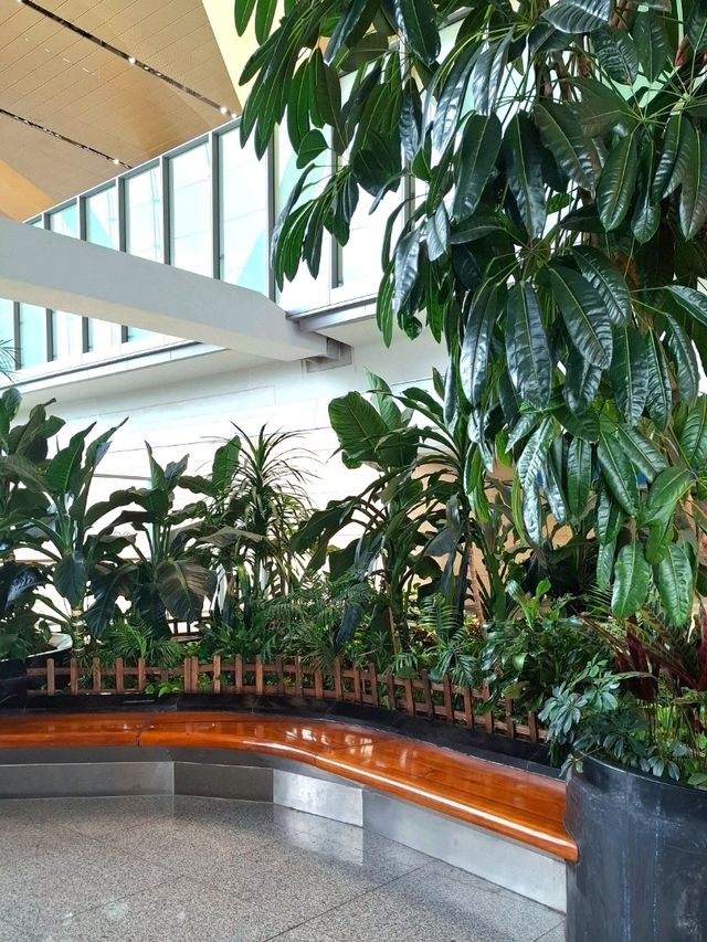 A NATURE MESSAGE FOR EVERY TRAVELLER IN KUNMING CHANGSHUI AIRPORT