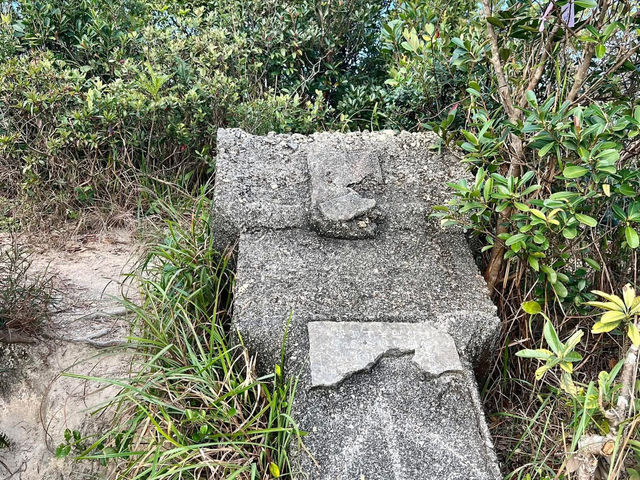 🗺️**探索獅子山頂**🗺️