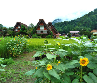 夏の白川郷で一泊 | Trip.com 白川村
