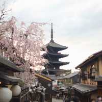 Japan – Sakura Season in the Snow Belt