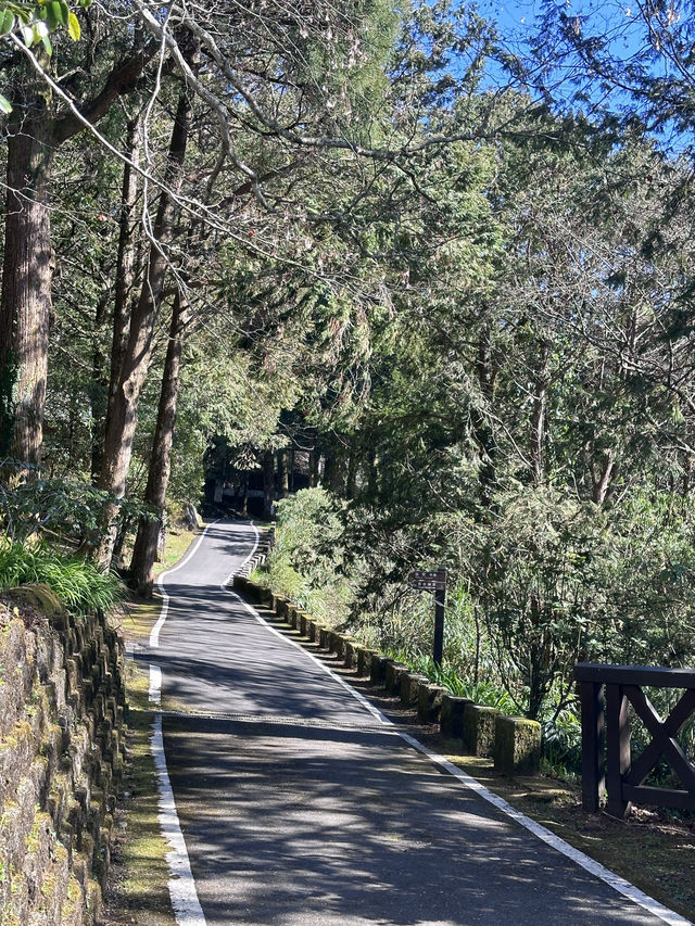 alishan national park