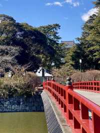 A Gentle Walk Through Odawara – Castles, Coastlines & Sunset Calm
