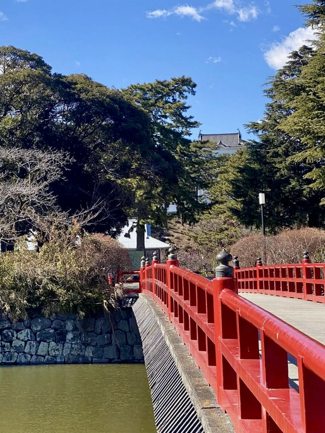A Gentle Walk Through Odawara – Castles, Coastlines & Sunset Calm