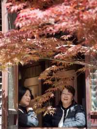 《南京》老门东にて朝散歩