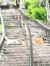 Thailand’s stairway to heaven 