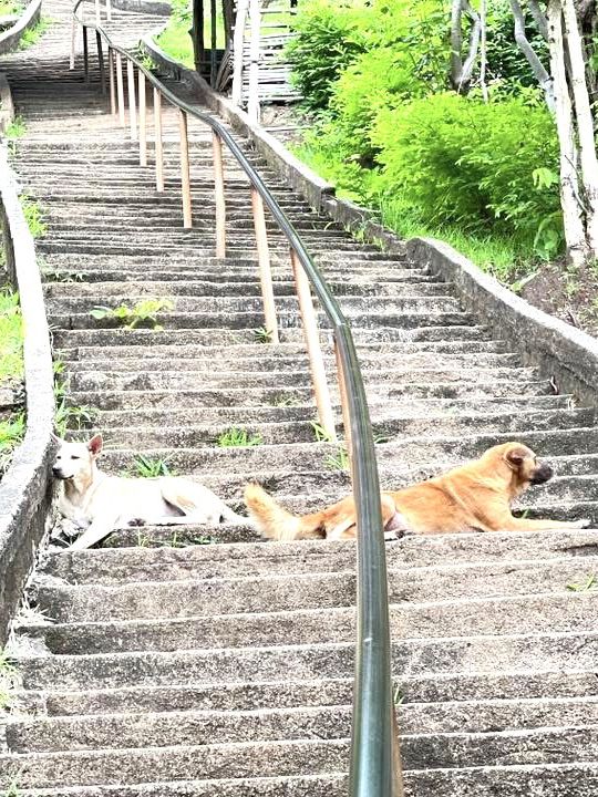 Thailand’s stairway to heaven 