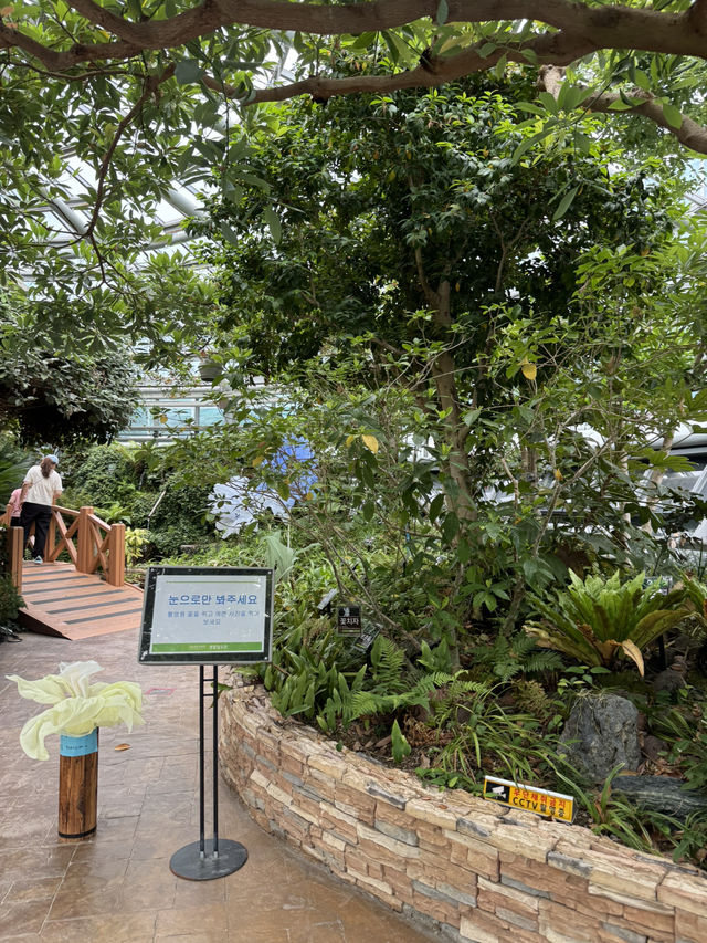 숲속 감성 가득한 생물탐구관 탐방기🌴