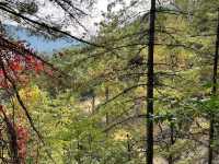 A Hike to Remember in Thimphu -Kuenselphodrang National Park