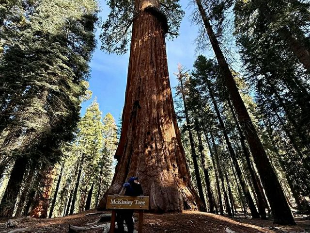 Deep into the Wilderness: Hiking Kings Canyon’s Trails