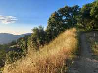 Giants of the Forest: Exploring Sequoia National Park