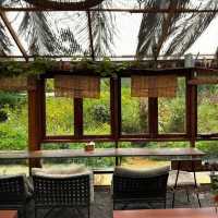 คาเฟ่สวนดอกไม้ Pranberry Field ปราณบุรี