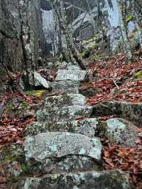 Face the Cliff: Precipice Trail, Acadia’s Ultimate Climb
