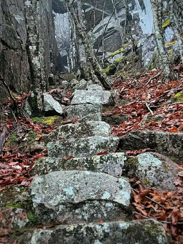 Face the Cliff: Precipice Trail, Acadia’s Ultimate Climb