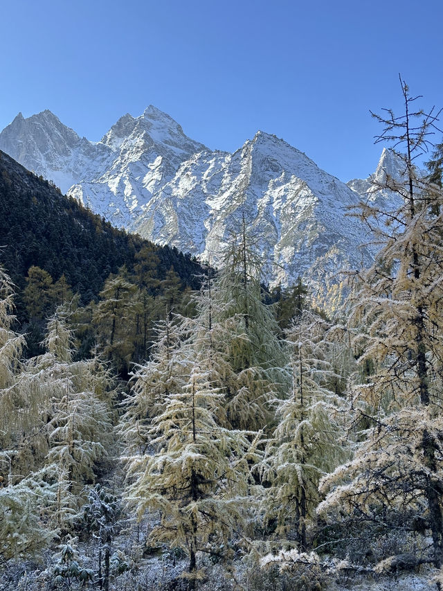 Snow Peaks & Crystal Lakes: Bipenggou