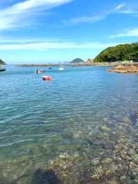 夏天好去處｜原來在香港也能看到果凍海