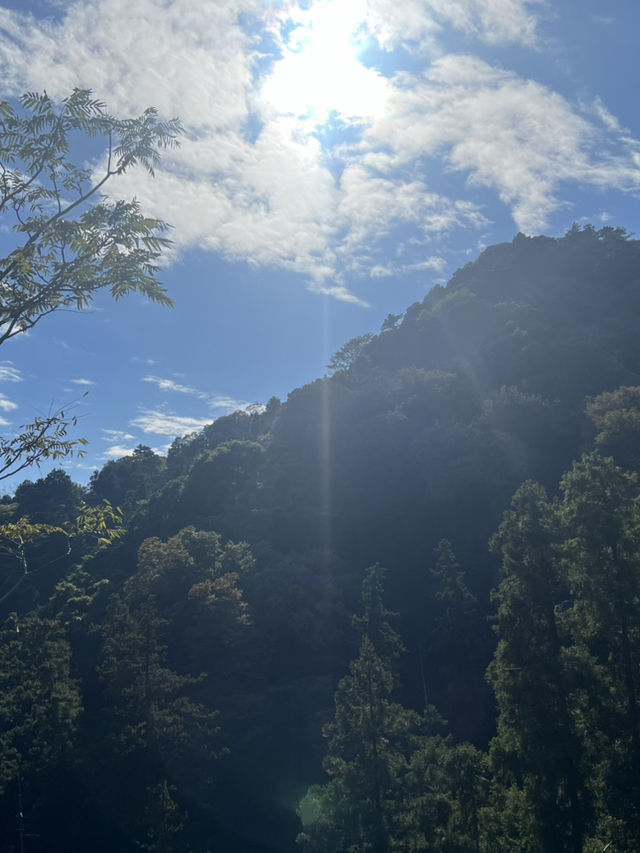 Mount Takao: A Refreshing Escape for Beginners