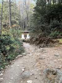 Tiger’s Nest Monastery – A Sacred Trek That Tests Your Limits
