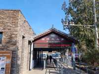 Grandeur on the Wall: Mutianyu's Enduring Majesty 