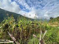 Khamsum Yulley Namgyal Chorten – A Hike With a View That Stays With You