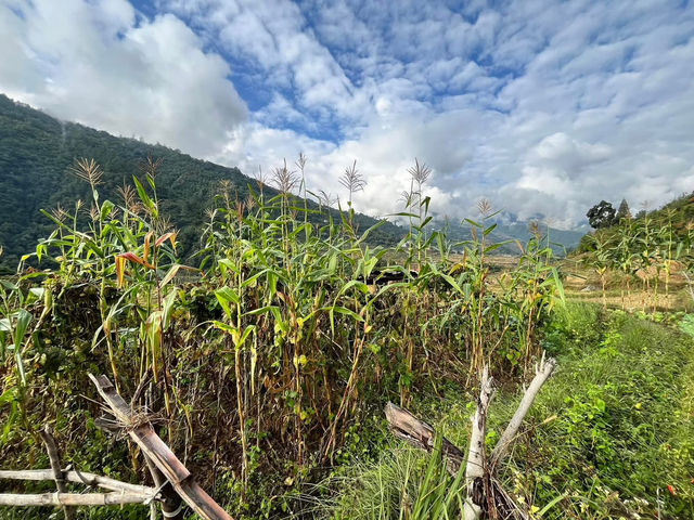 Khamsum Yulley Namgyal Chorten – A Hike With a View That Stays With You
