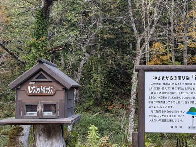 北海道道東🇯🇵 世界自然遺產