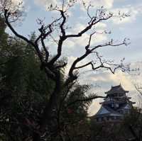 岡山城に行ってきました‼️