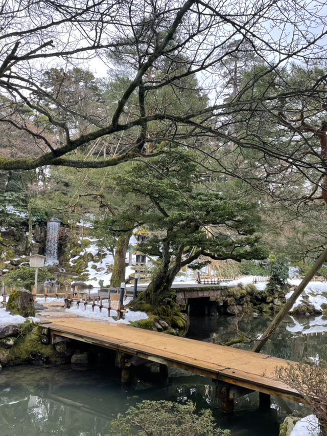 日本らしい厳かで凛とした雰囲気の歴史ある庭園🫶⛩