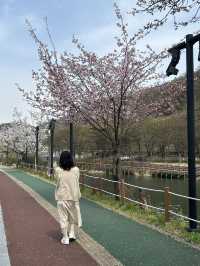 🌿 도심 속 작은 호수, 명암저수지에서의 여유로운 산책