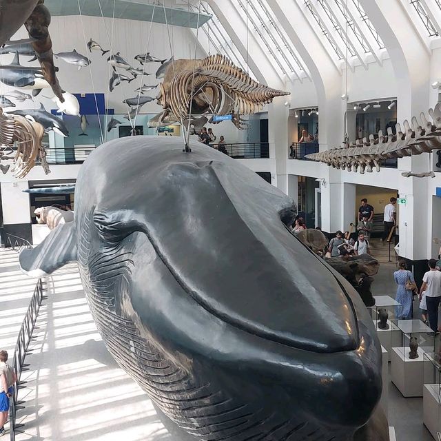 Natural History Museum, London