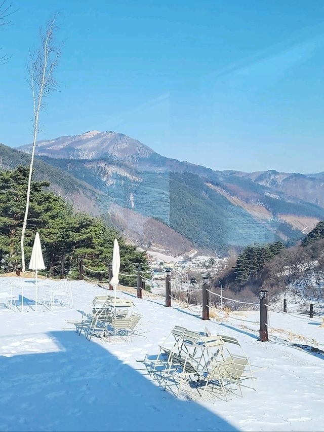 정선 천국의계단뷰맛집🤎넌커피