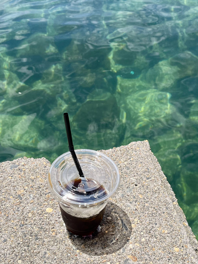 바다와 제일 맞닿은 카페☕️