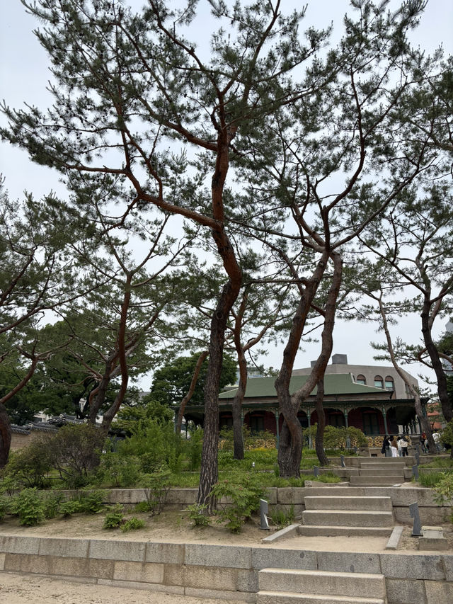 야외 촬영이 가능한 서울 궁궐 덕수궁😆