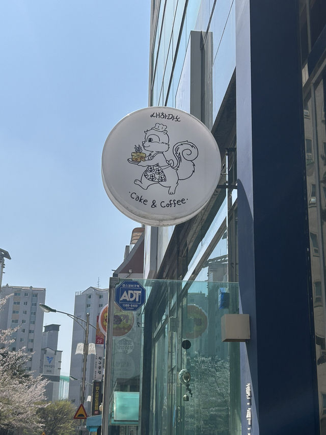 ️ 따뜻하고 아늑한 감성 공간, 새하마노🤍☕️