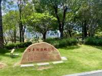 深圳萬豐湖濕地公園✨🌴城市中的自然綠洲🏞️