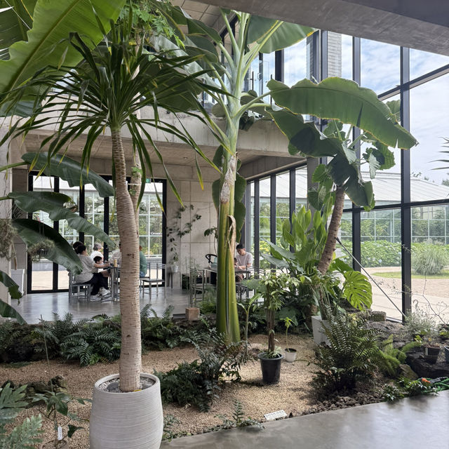제주의 봄을 만끽할 수 있는 푸릇푸릇 식물원 카페🌿