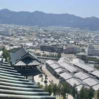 圧巻の迫力‼️日本最大級の大仏