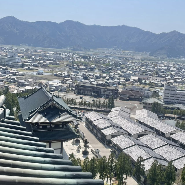 圧巻の迫力‼️日本最大級の大仏