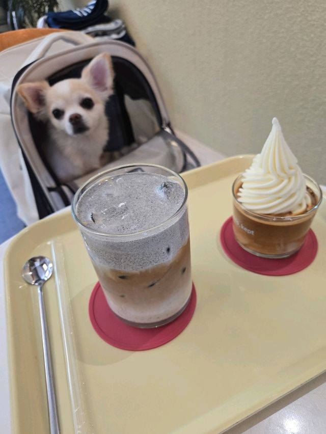 핫한 실내데이트장소 켑트 카페❤️