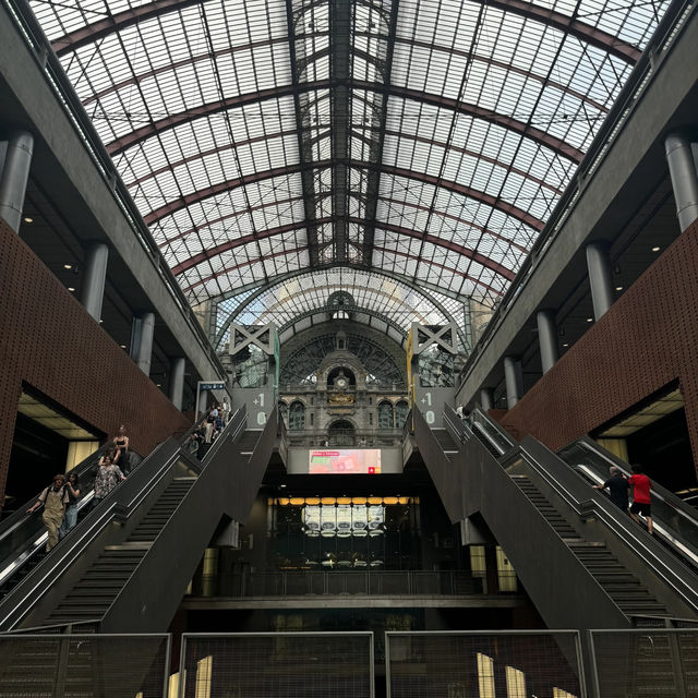Belgium | Antwerp Super Detailed Itinerary & Travel Tips 🚆🎨