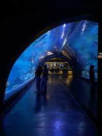 อควาเรีย ภูเก็ต (Aquaria Phuket) 